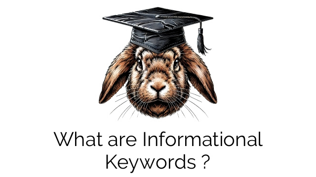 What are Informational Keywords ?