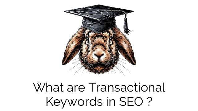 What are Transactional Keywords in SEO ?